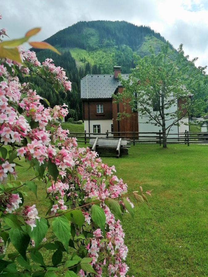 Appartamento Himmlisch Urlauben St. Nikolai Sankt Nikolai im Sölktal Esterno foto