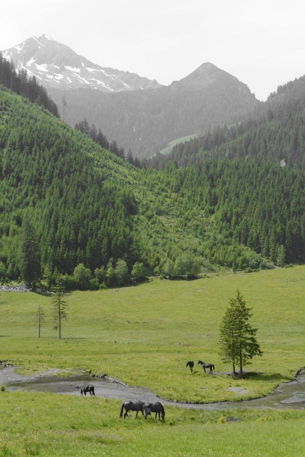 Appartamento Himmlisch Urlauben St. Nikolai Sankt Nikolai im Sölktal Esterno foto
